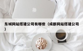 朝阳东城网站搭建公司有哪些（成都网站搭建公司）